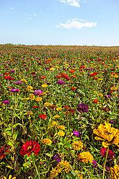 KK官方对战平台全新生存割草爽图《次元战记》3月6日激情开战！